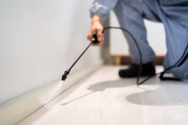 Bed Bug Pre-Treatment Preparation Assessment in Boiling Springs