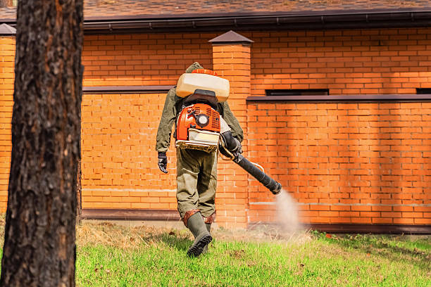 Bed Bug Clearance Verification and Documentation in Boiling Springs